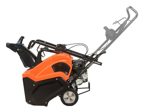 Ariens Path Pro